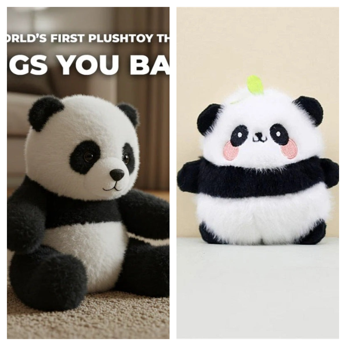 Koaly – Emocionálne liečenie na požiadanie?