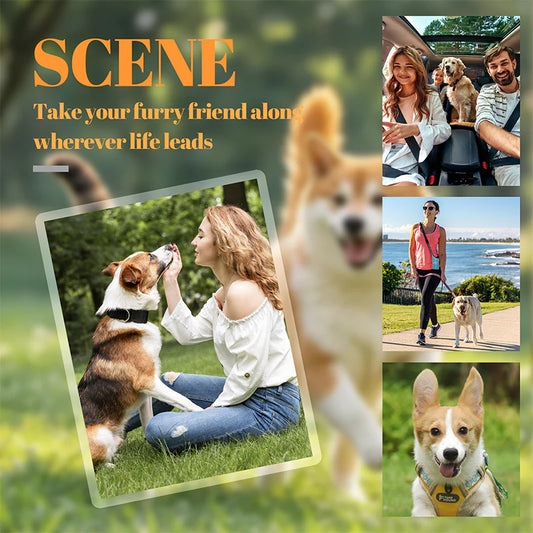 【🔥Kúp 1 a získaj 2 zadarmo🔥】Kľúčenka pre môjho domáceho miláčika