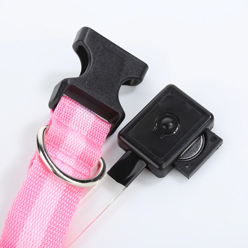 Svietiaci obojok pre domáce zvieratá