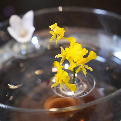 Kreatívny plávajúci držiak na kvetinové aranžmány