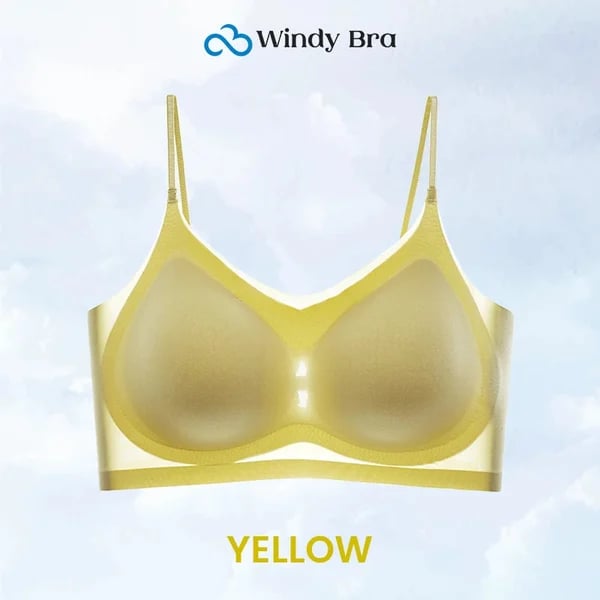 WindyBra - Summer seamless ultra-thin plus size ice silk comfort bra