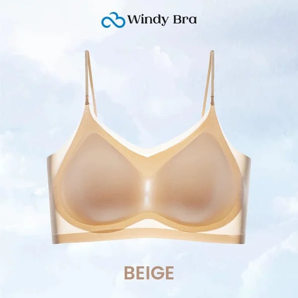WindyBra - Summer seamless ultra-thin plus size ice silk comfort bra