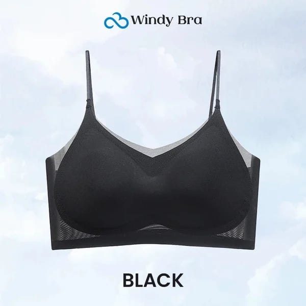 WindyBra - Summer seamless ultra-thin plus size ice silk comfort bra