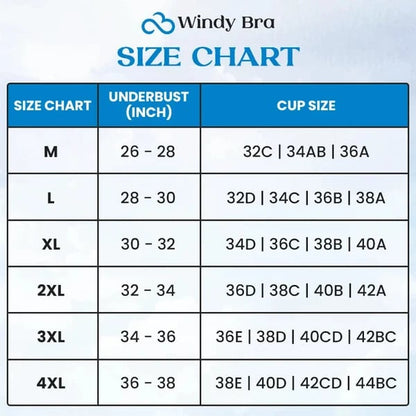WindyBra - Summer seamless ultra-thin plus size ice silk comfort bra