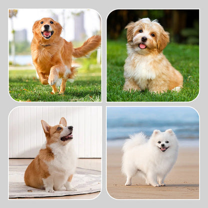 2 páry protišmykových nepremokavých ponožiek pre psov