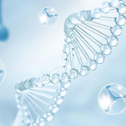 【🔥Kúp 1 a získaj 1 zadarmo🔥】Súprava UV lampy na sterilizáciu toalety